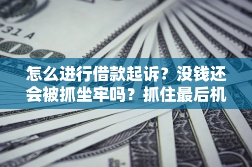武汉怎么进行借款起诉？没钱还会被抓坐牢吗？抓住最后机会！