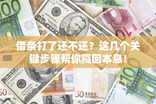 武汉借条打了还不还？这几个关键步骤帮你赢回本息！