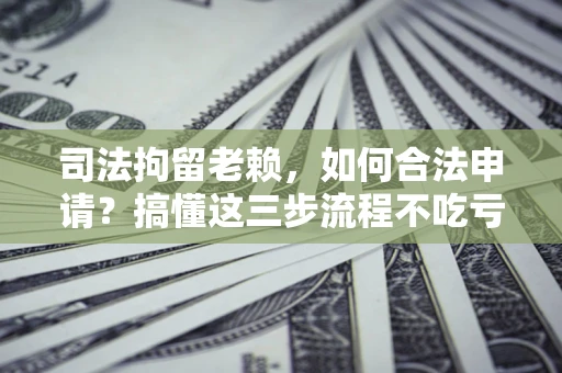 武汉司法拘留老赖，如何合法申请？搞懂这三步流程不吃亏！