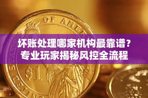 武汉坏账处理哪家机构最靠谱？专业玩家揭秘风控全流程