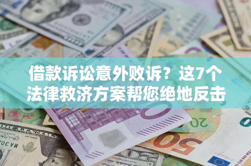 武汉借款诉讼意外败诉？这7个法律救济方案帮您绝地反击！