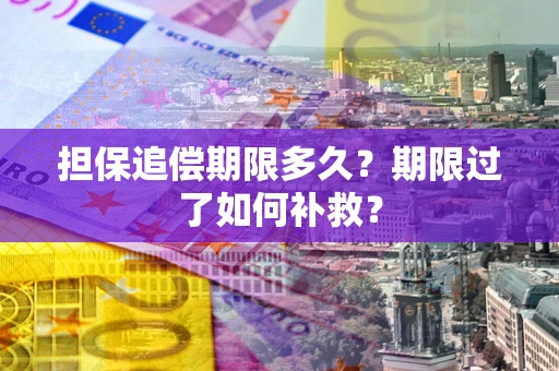 武汉担保追偿期限多久？期限过了如何补救？
