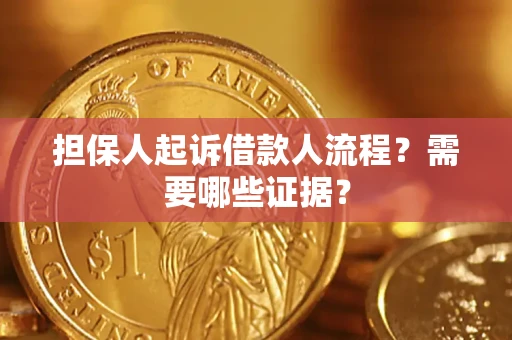武汉担保人起诉借款人流程？需要哪些证据？