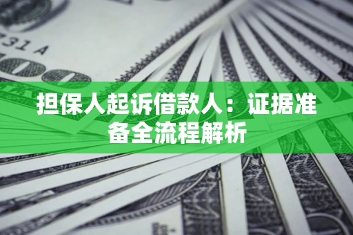 武汉担保人起诉借款人：证据准备全流程解析