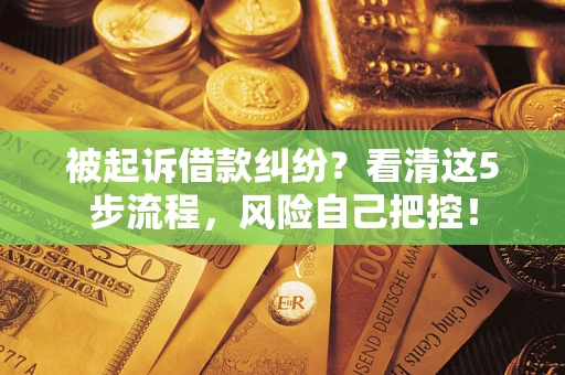 武汉被起诉借款纠纷？看清这5步流程，风险自己把控！