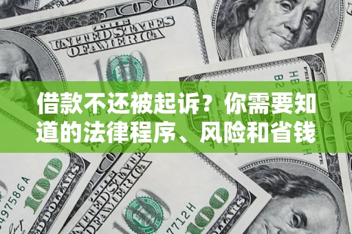 武汉借款不还被起诉？你需要知道的法律程序、风险和省钱技巧