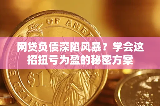 武汉网贷负债深陷风暴？学会这招扭亏为盈的秘密方案
