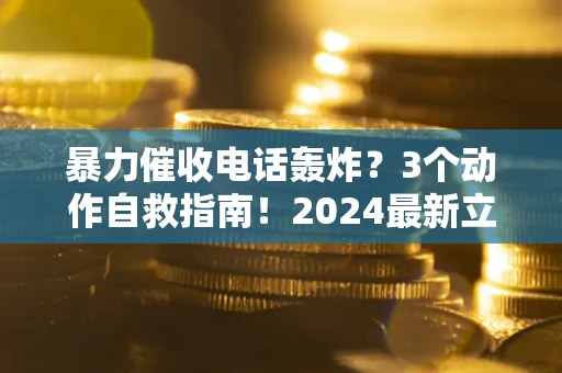 武汉暴力催收电话轰炸？3个动作自救指南！2024最新立案标准全解析