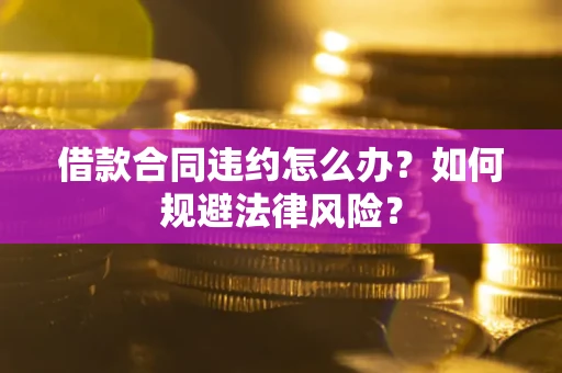 武汉借款合同违约怎么办？如何规避法律风险？